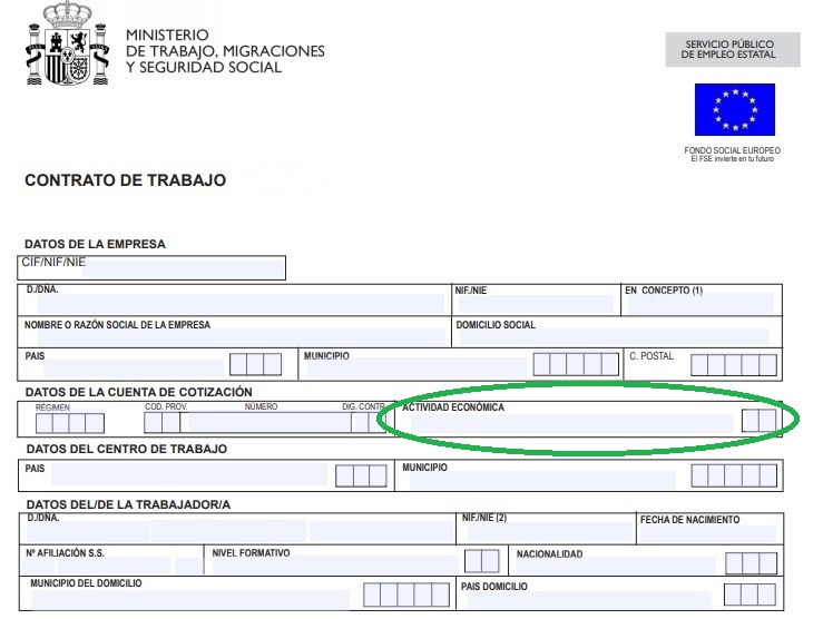 Cual es mi actividad económica